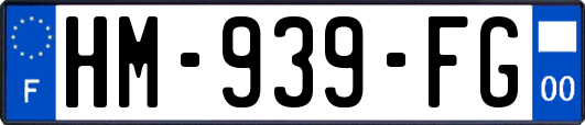 HM-939-FG