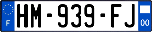 HM-939-FJ