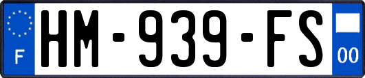 HM-939-FS