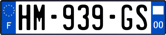 HM-939-GS