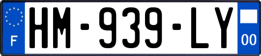 HM-939-LY