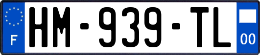 HM-939-TL