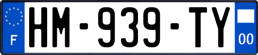 HM-939-TY