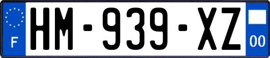 HM-939-XZ
