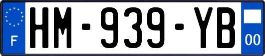 HM-939-YB