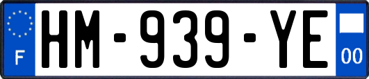 HM-939-YE