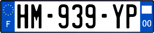 HM-939-YP