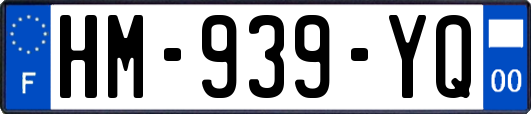 HM-939-YQ