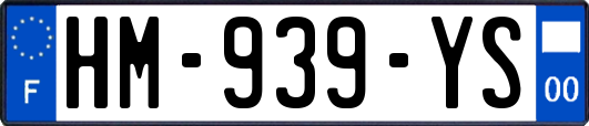 HM-939-YS