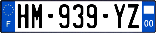 HM-939-YZ