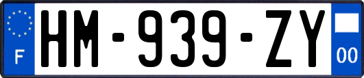 HM-939-ZY