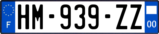 HM-939-ZZ