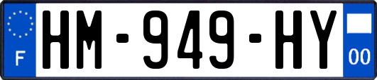 HM-949-HY