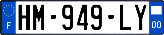 HM-949-LY