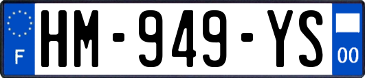 HM-949-YS