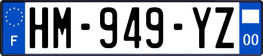 HM-949-YZ