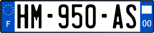HM-950-AS