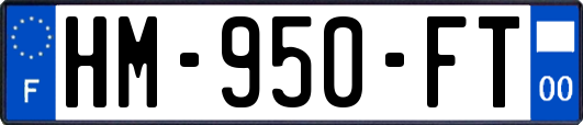 HM-950-FT