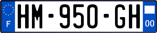 HM-950-GH