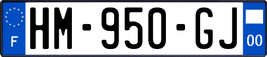 HM-950-GJ
