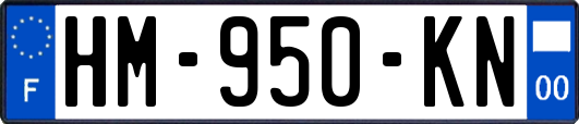 HM-950-KN