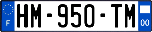 HM-950-TM