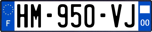 HM-950-VJ