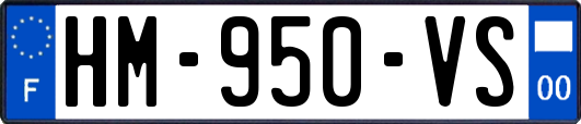 HM-950-VS