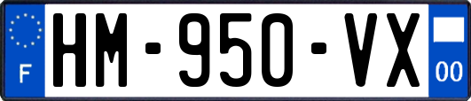 HM-950-VX