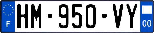 HM-950-VY