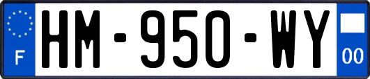 HM-950-WY