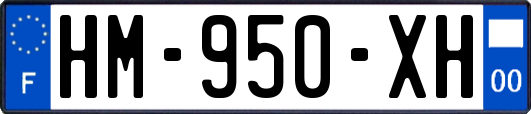HM-950-XH