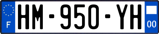 HM-950-YH