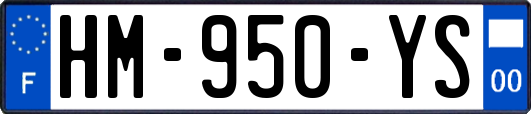 HM-950-YS