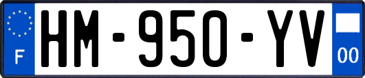 HM-950-YV