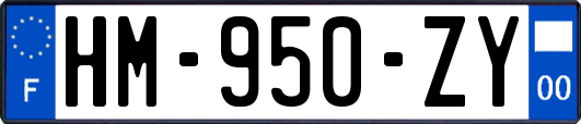 HM-950-ZY