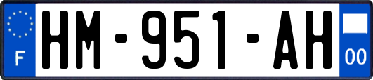 HM-951-AH
