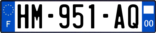 HM-951-AQ