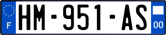 HM-951-AS