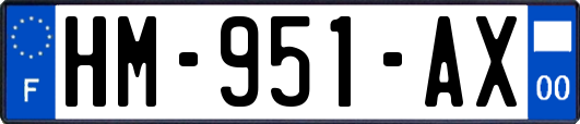 HM-951-AX
