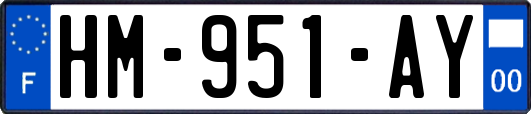 HM-951-AY