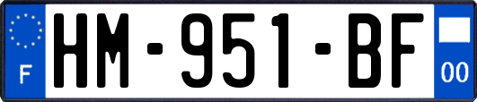 HM-951-BF
