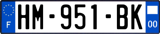 HM-951-BK