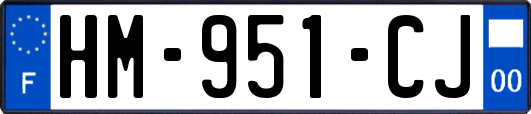 HM-951-CJ