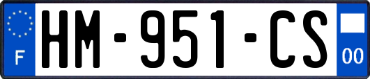 HM-951-CS