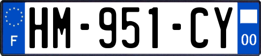 HM-951-CY