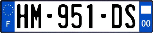 HM-951-DS