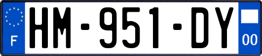 HM-951-DY