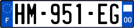 HM-951-EG