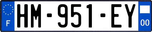 HM-951-EY